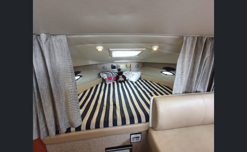 Bayliner 285 SB-kuva-14